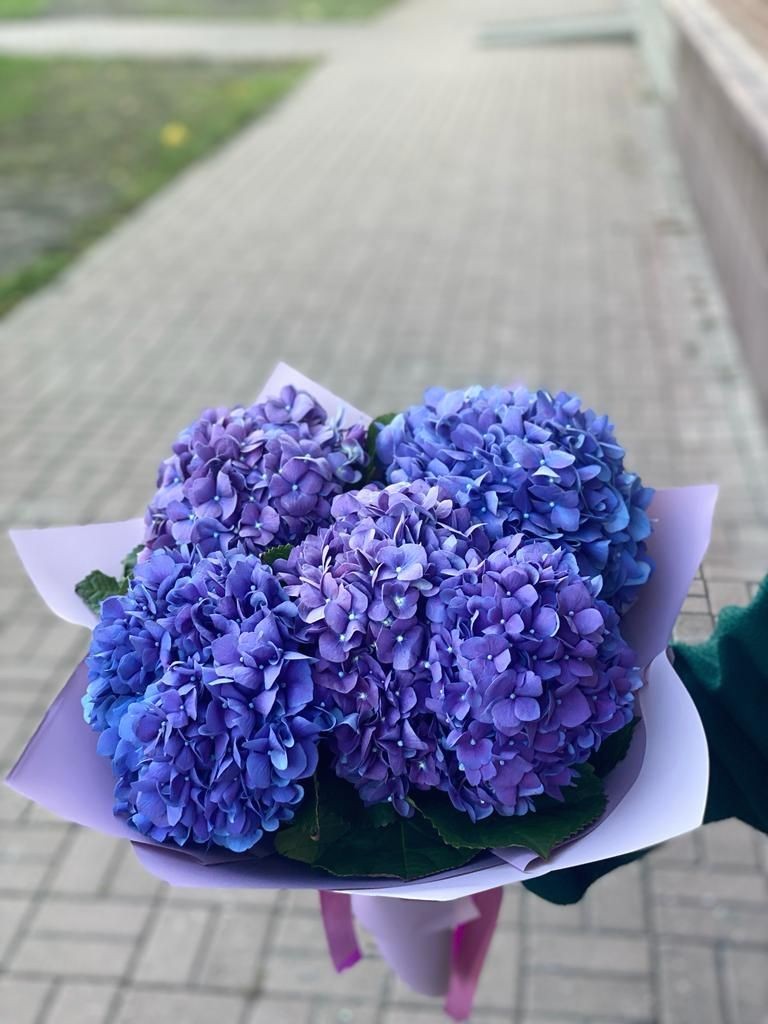 Букет из 3 гортензий «Я готов на все»